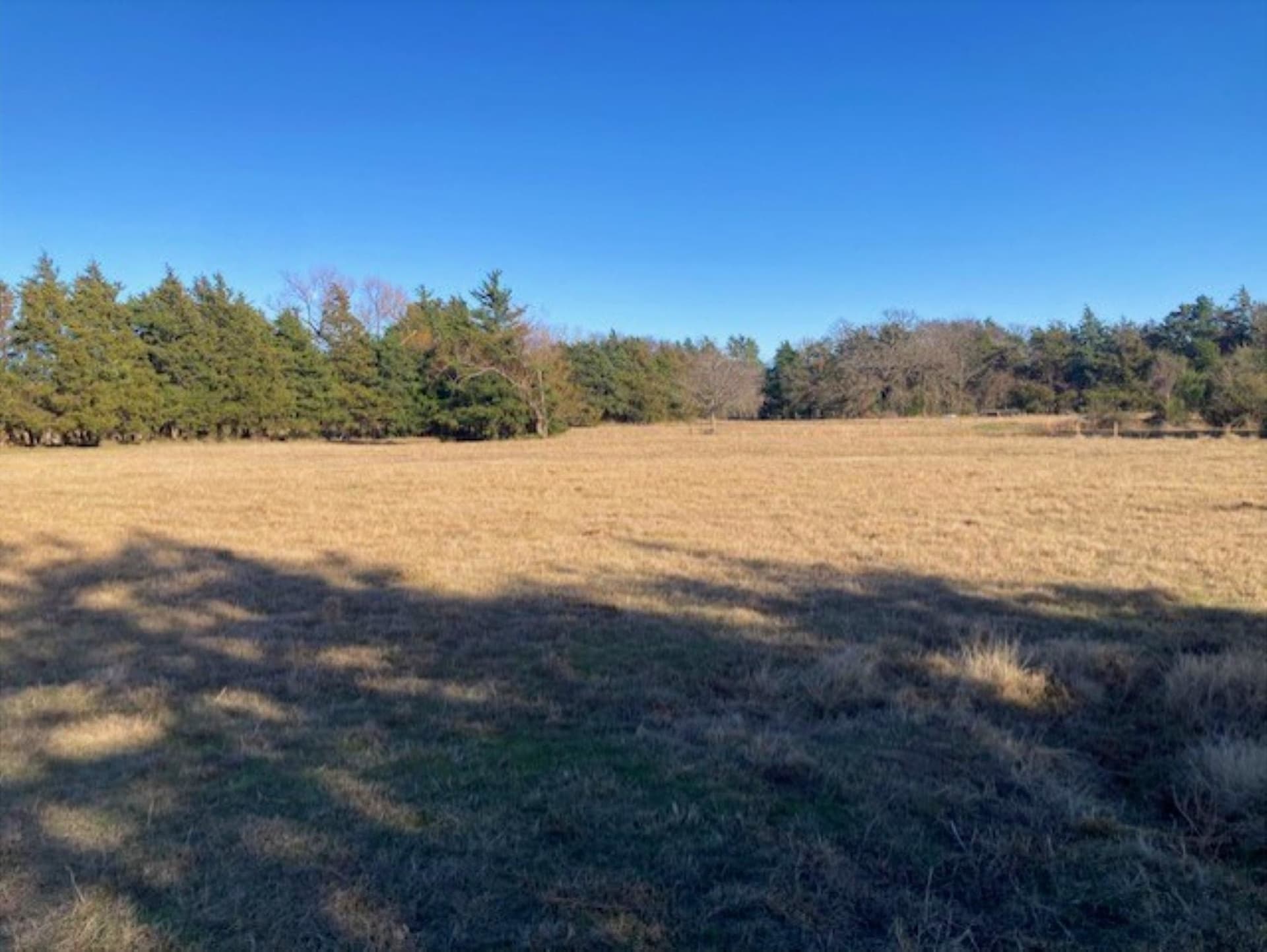 22 acres in Grayson County - photo 8