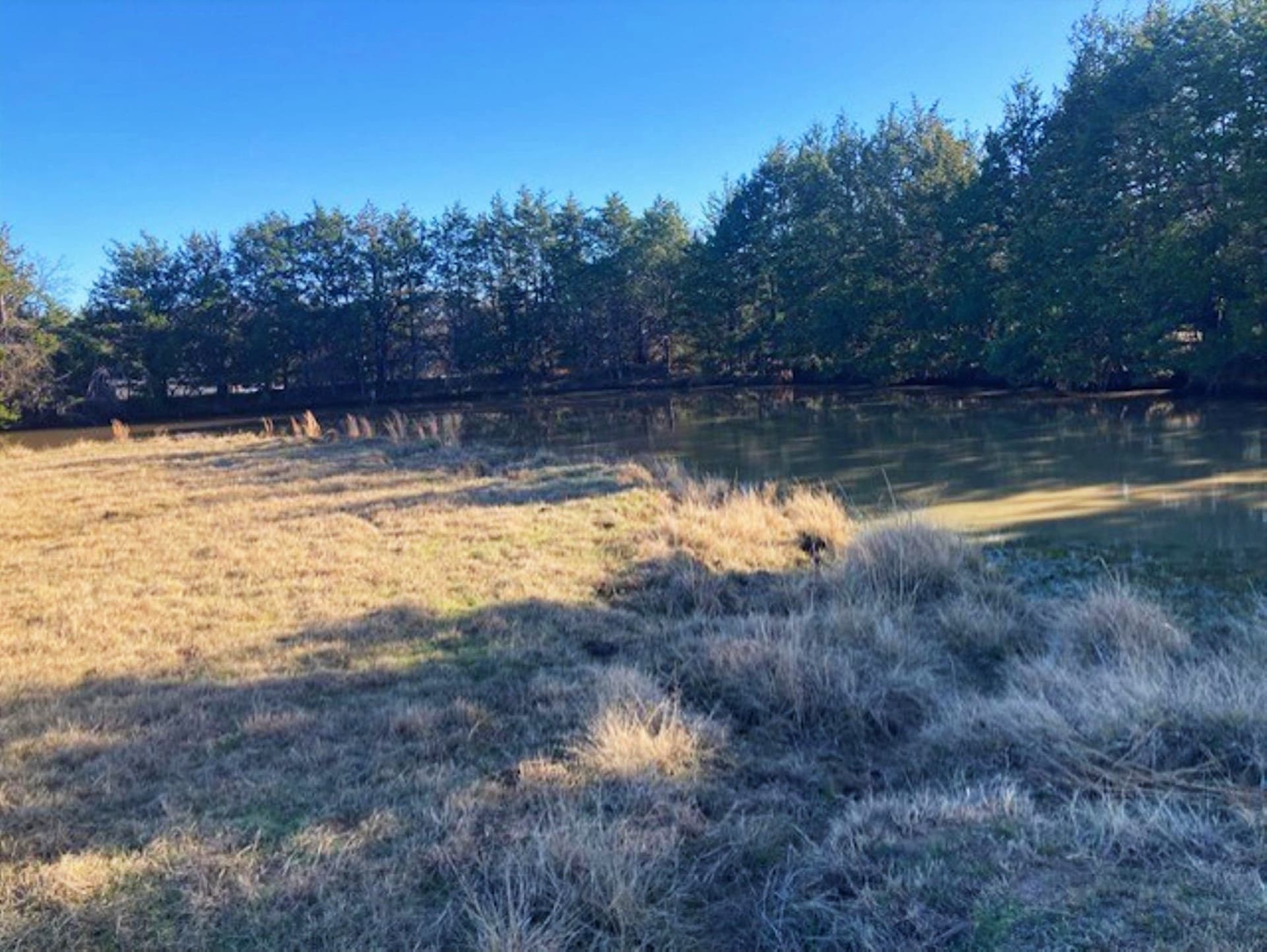 22 acres in Grayson County - photo 9