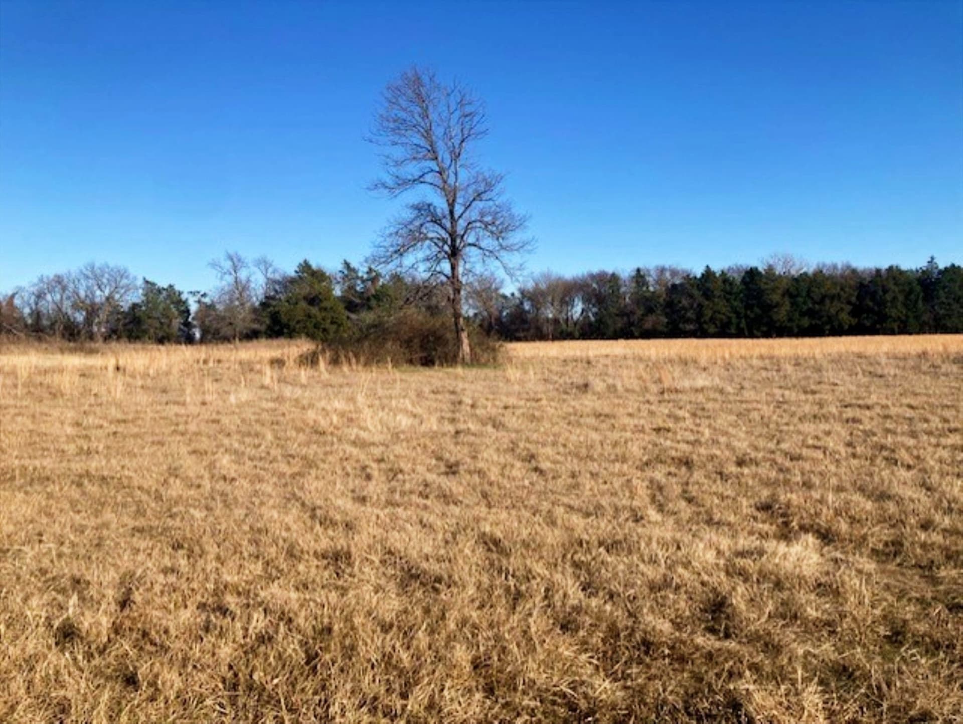 22 acres in Grayson County - photo 20