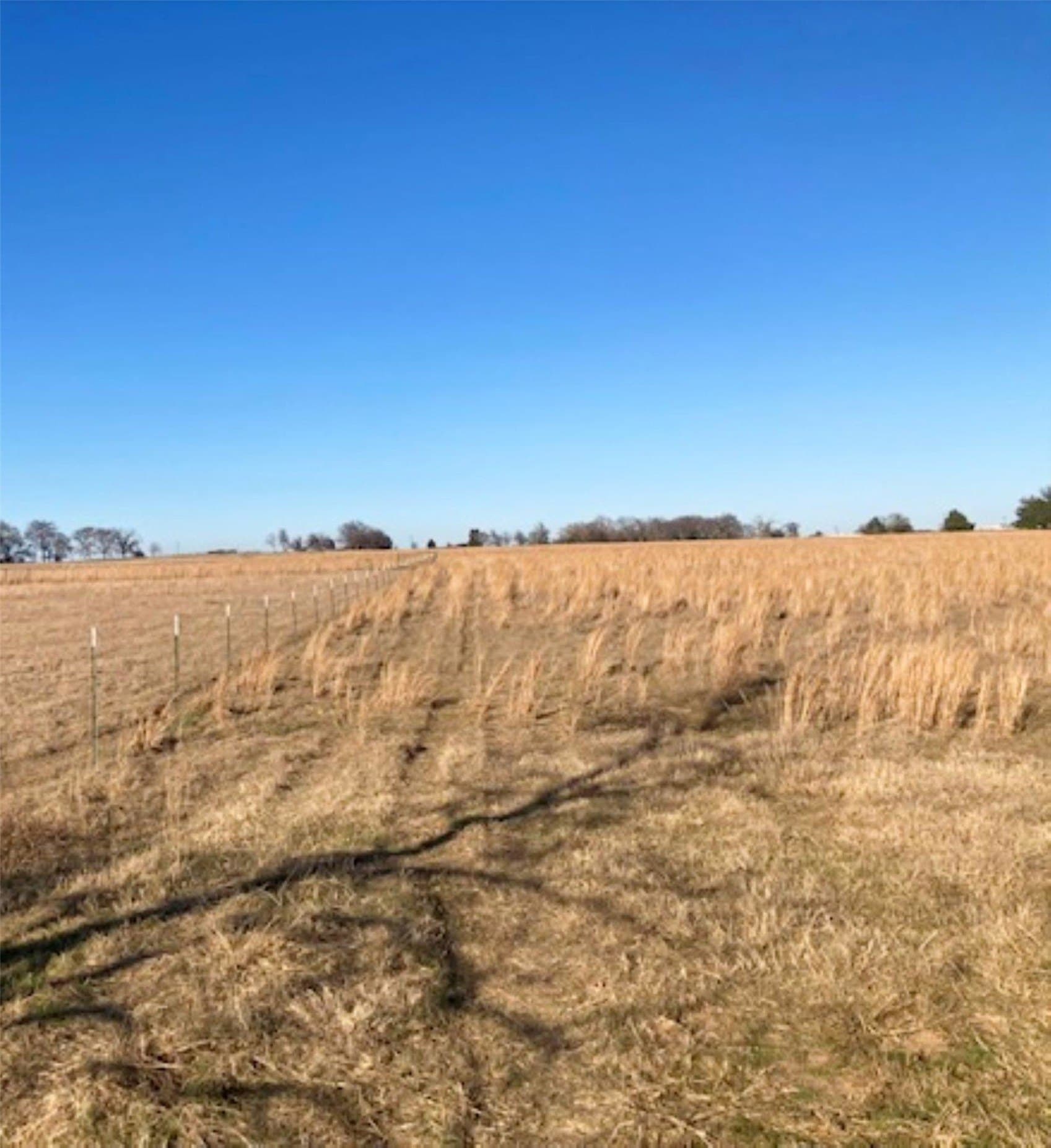 22 acres in Grayson County - photo 24