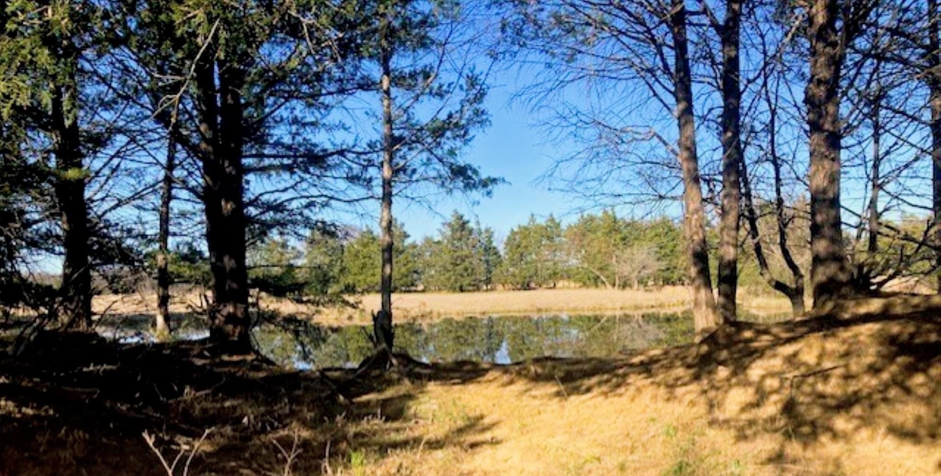 22 acres in Grayson County - photo 4