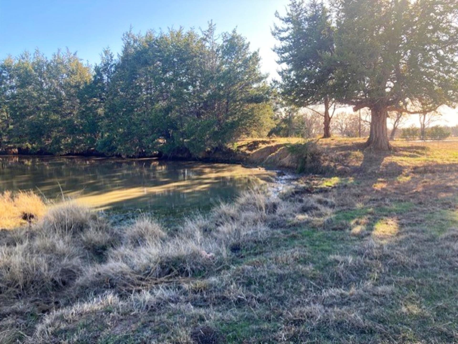 22 acres in Grayson County - photo 10