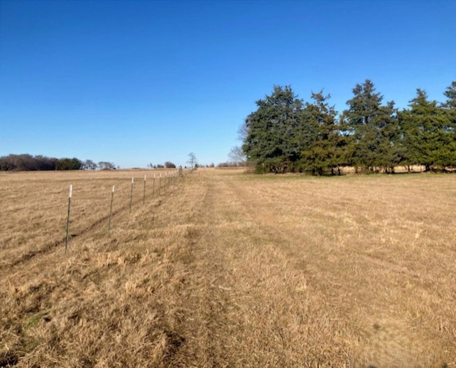 22 acres in Grayson County - photo 14