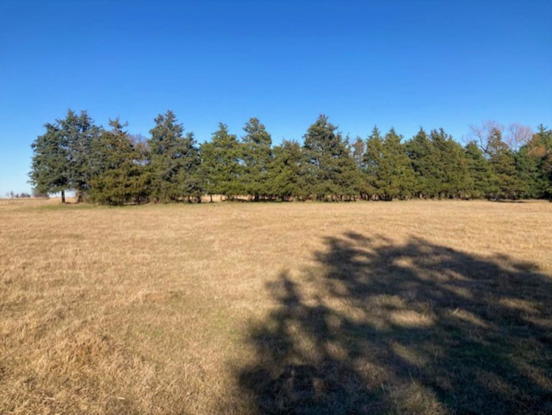 22 acres in Grayson County - photo 7