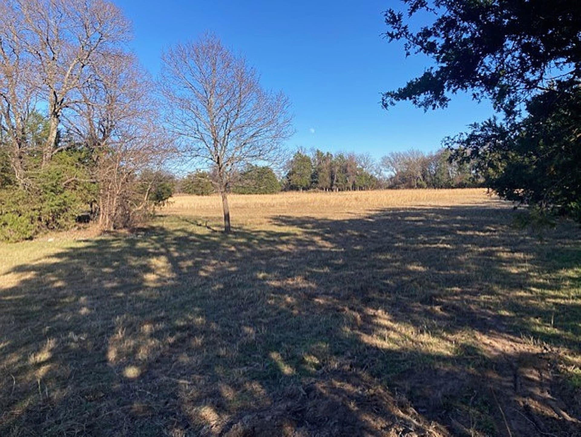 22 acres in Grayson County - photo 17