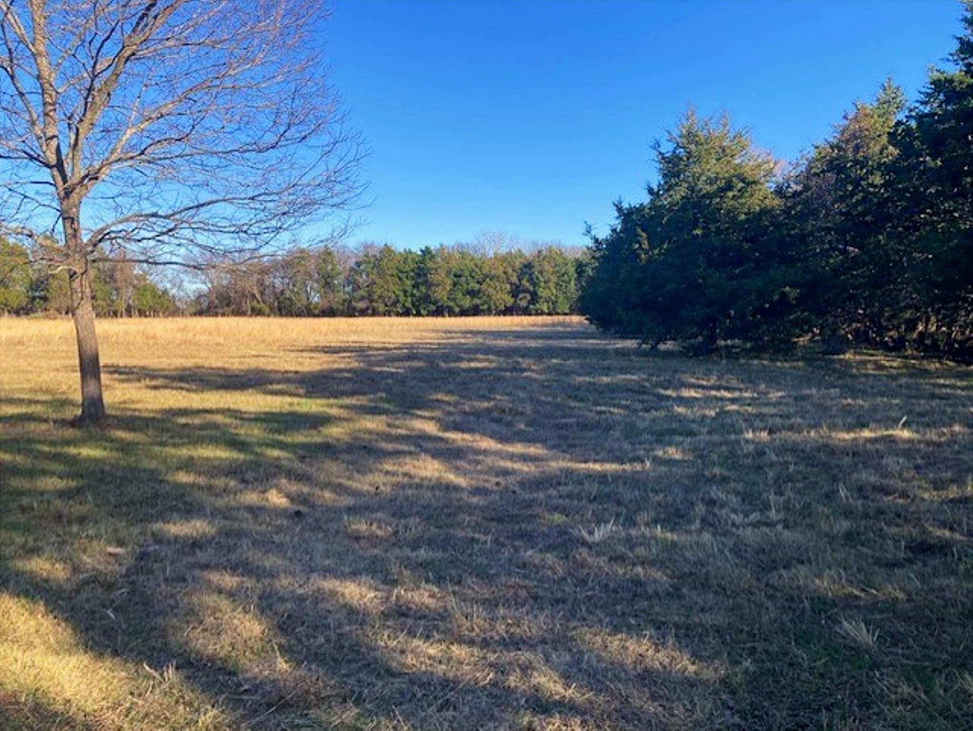 22 acres in Grayson County - photo 19
