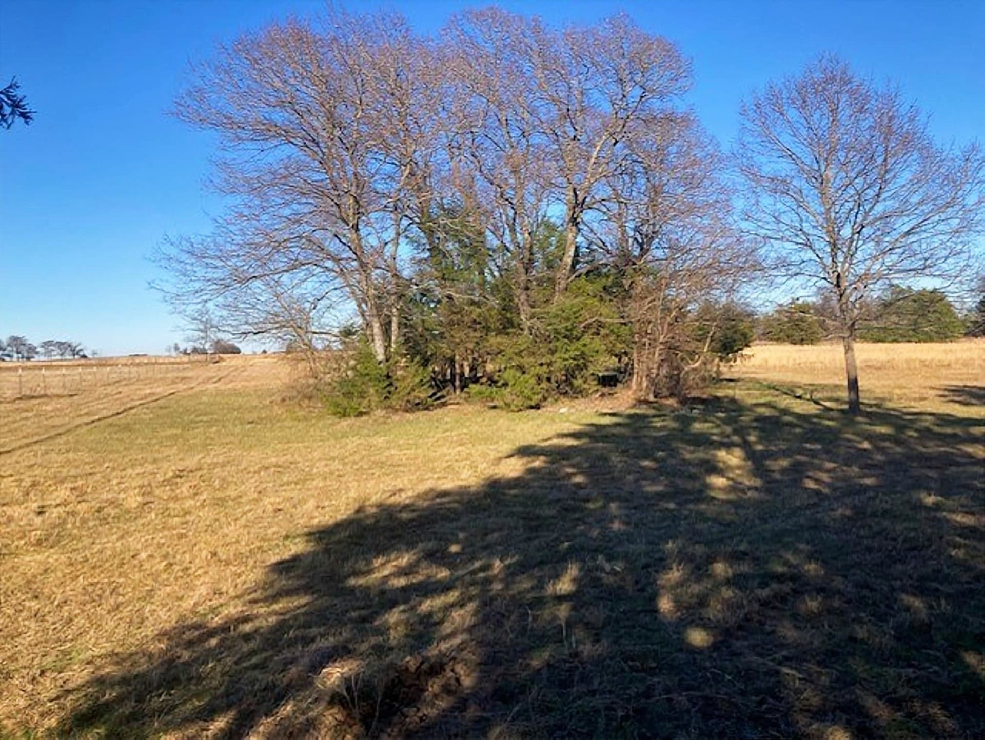 22 acres in Grayson County - photo 18