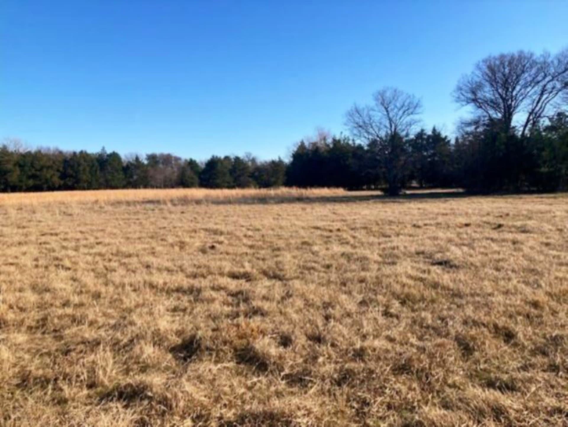 22 acres in Grayson County - photo 21