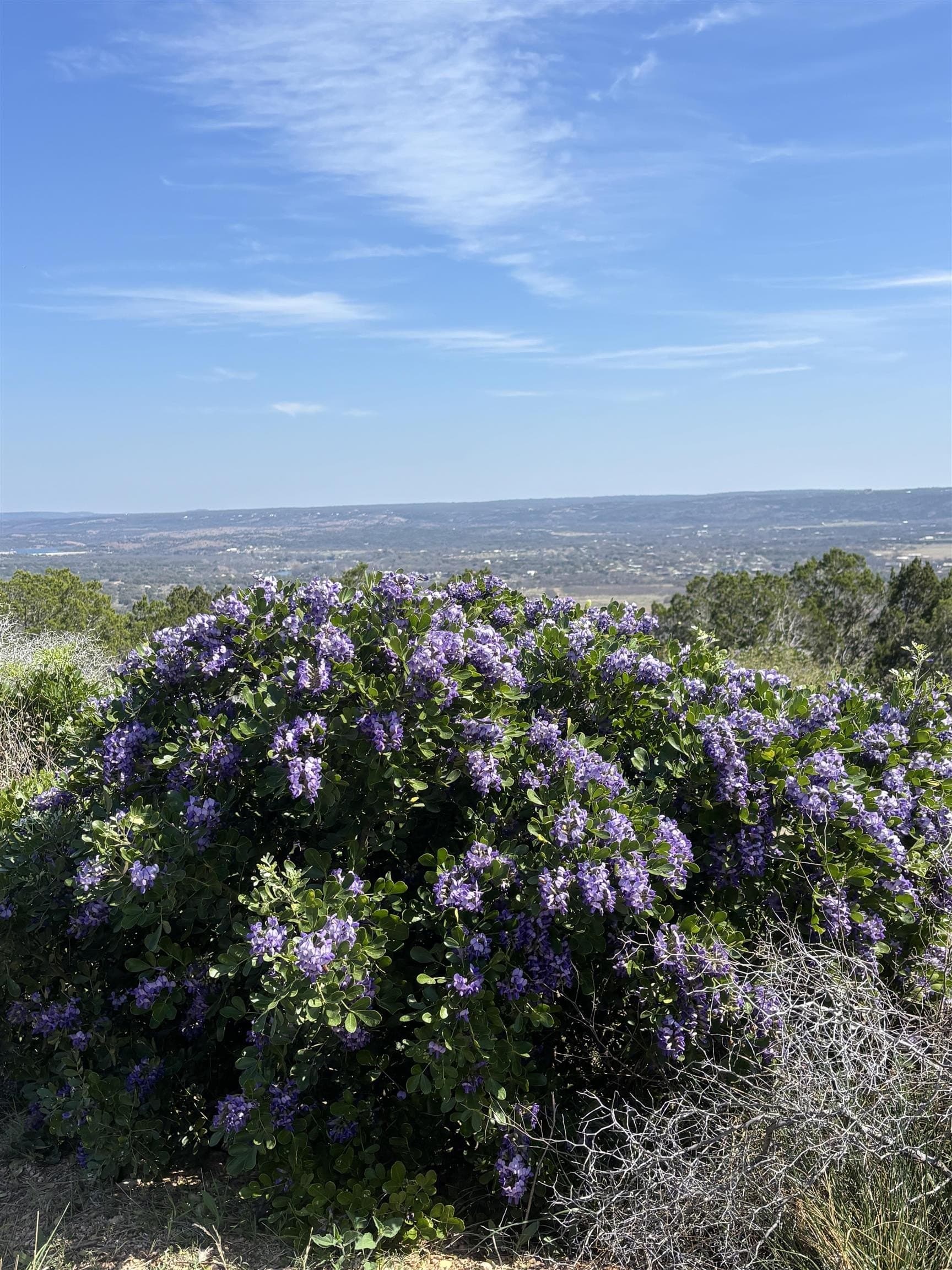 5.58 acres in Llano County gallery image 3
