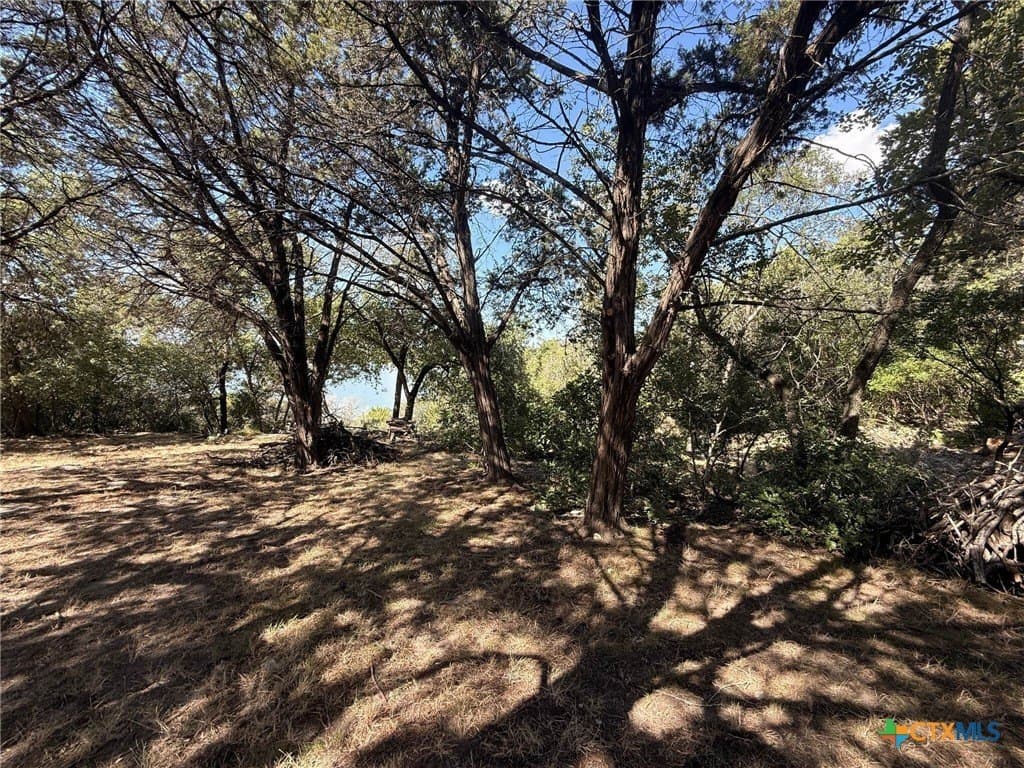 0.84 acres in Bell County - photo 13
