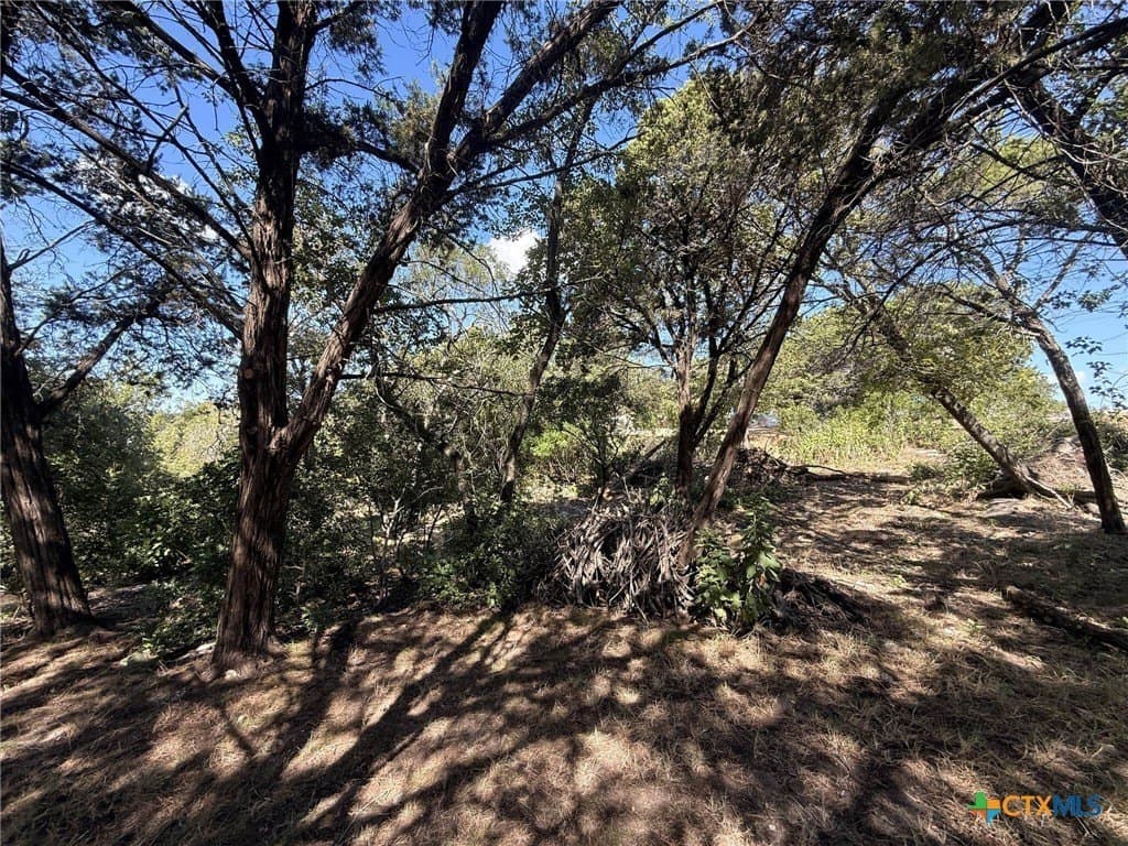 0.84 acres in Bell County - photo 12