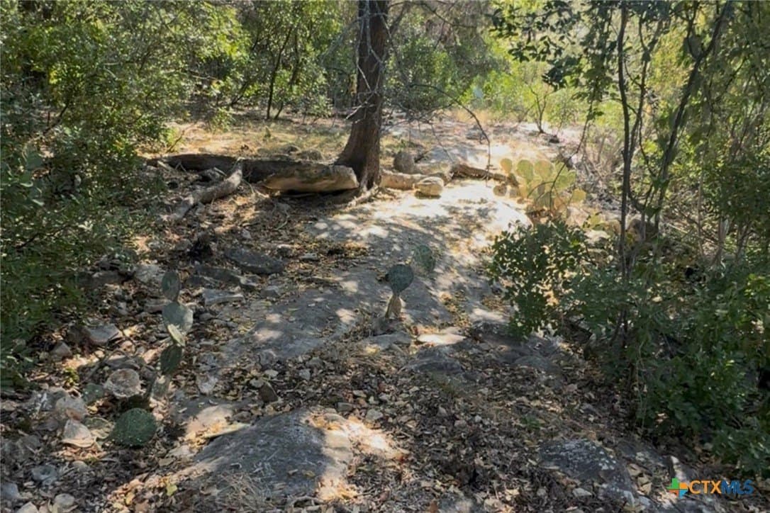 0.84 acres in Bell County - photo 7