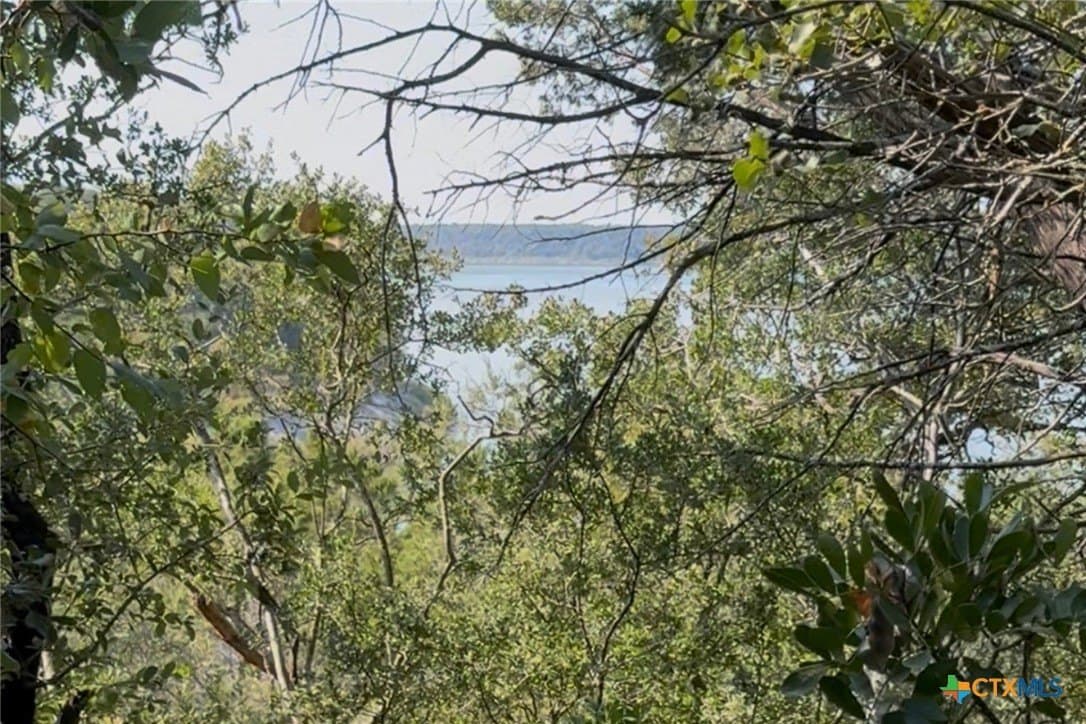 0.84 acres in Bell County - photo 3