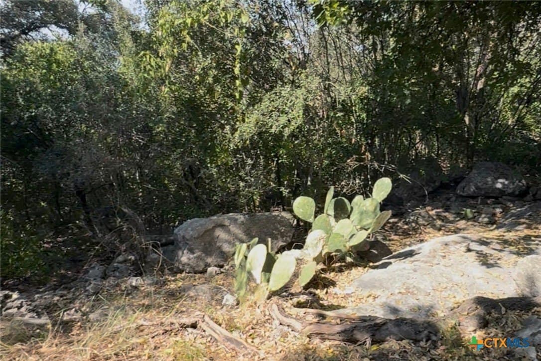 0.84 acres in Bell County - photo 4