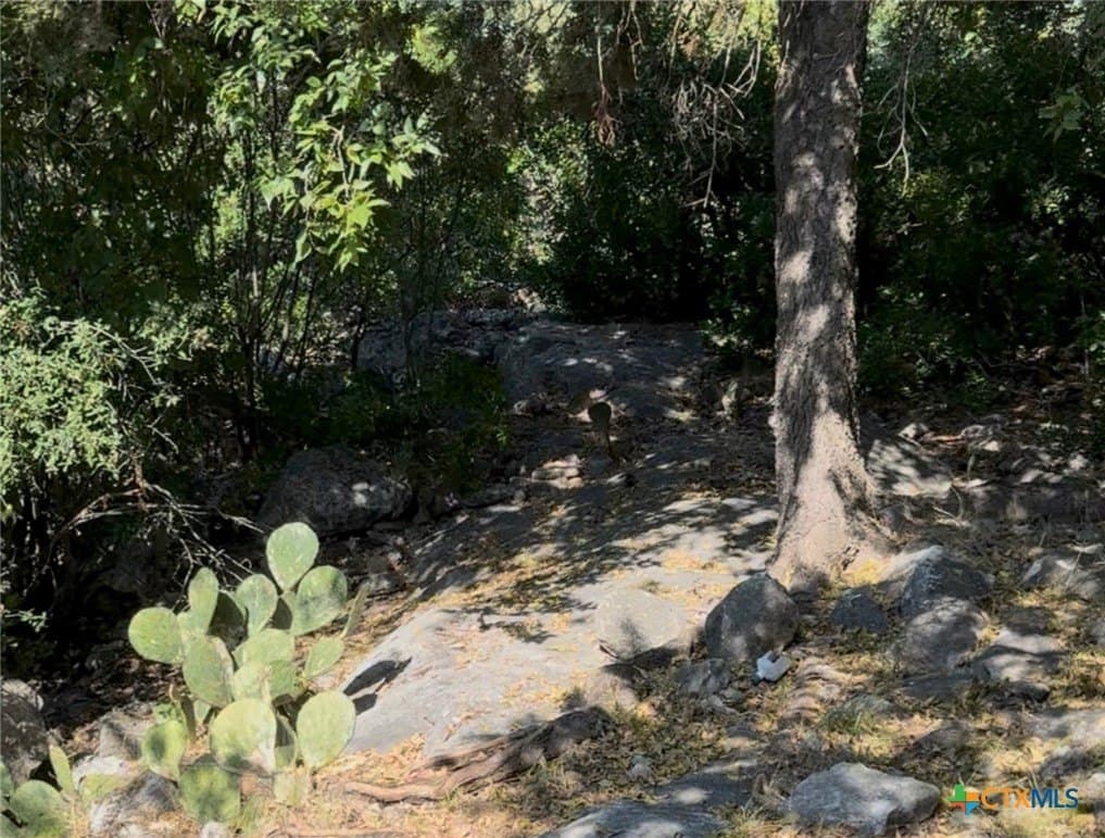 0.84 acres in Bell County - photo 6