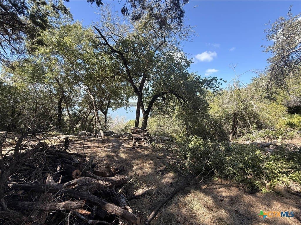 0.84 acres in Bell County - photo 11