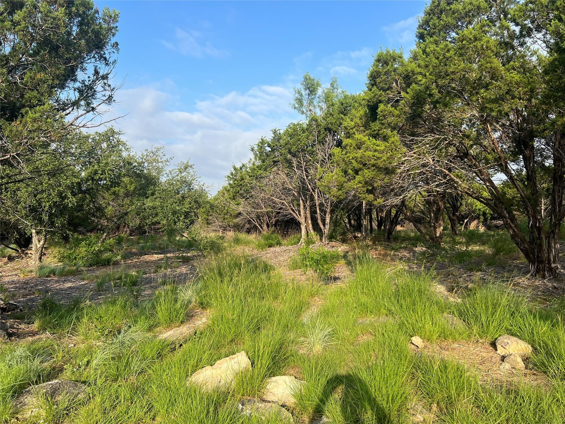 1.31 acres in Somervell County - photo 6