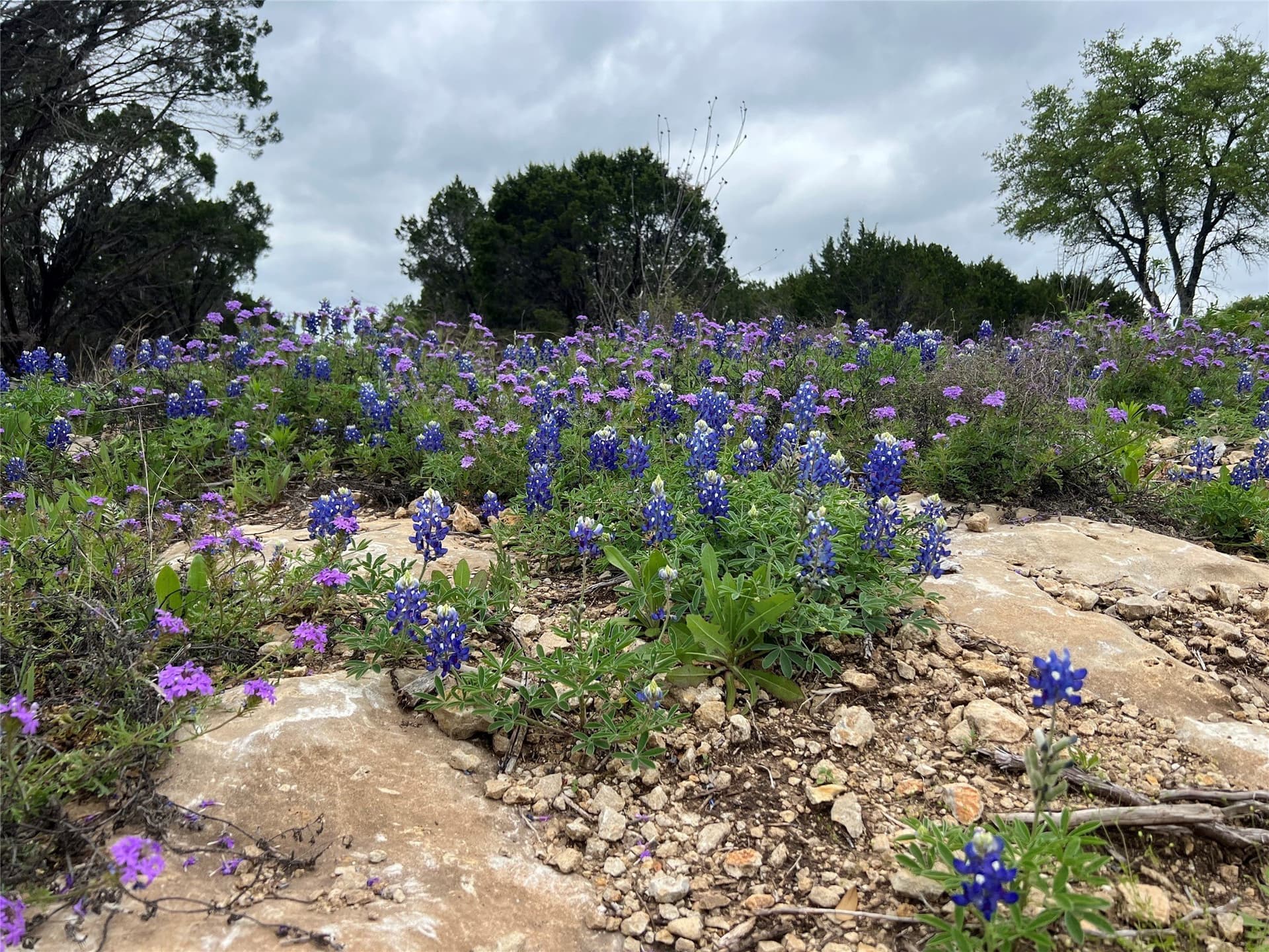 1.31 acres in Somervell County gallery image 4