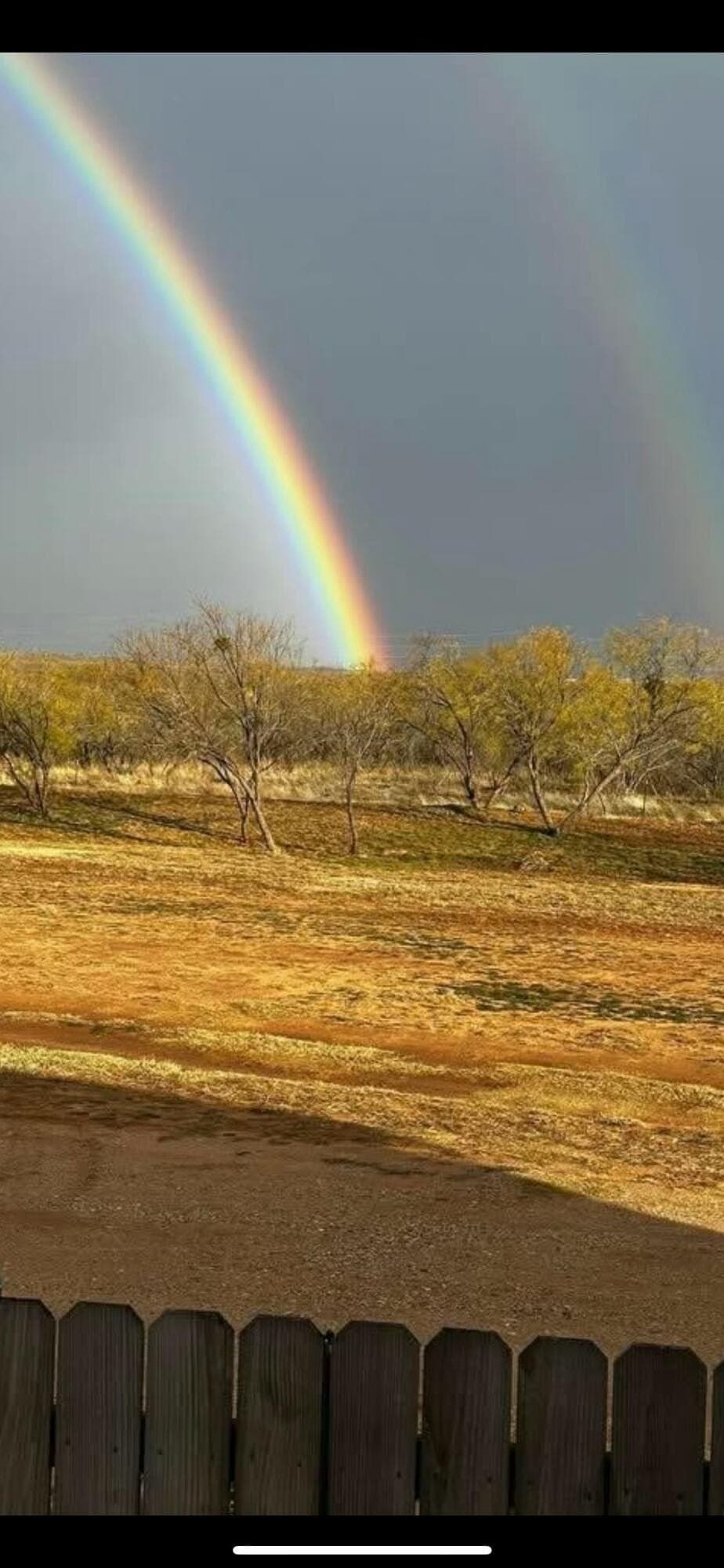 2 acres in Kent County gallery image 3