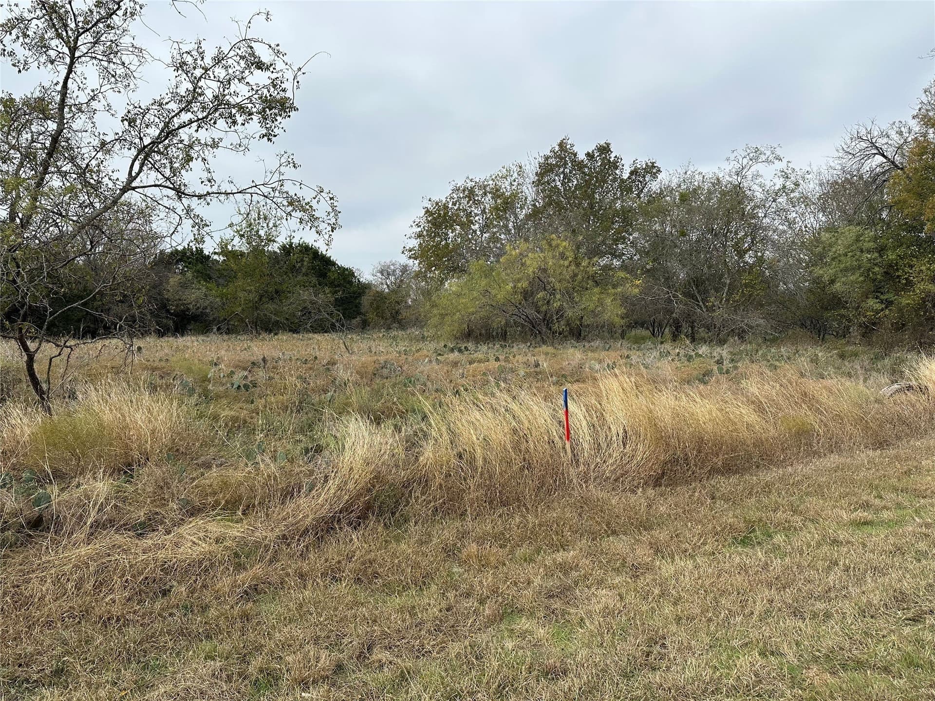 0.41 acres in Hill County - photo 2