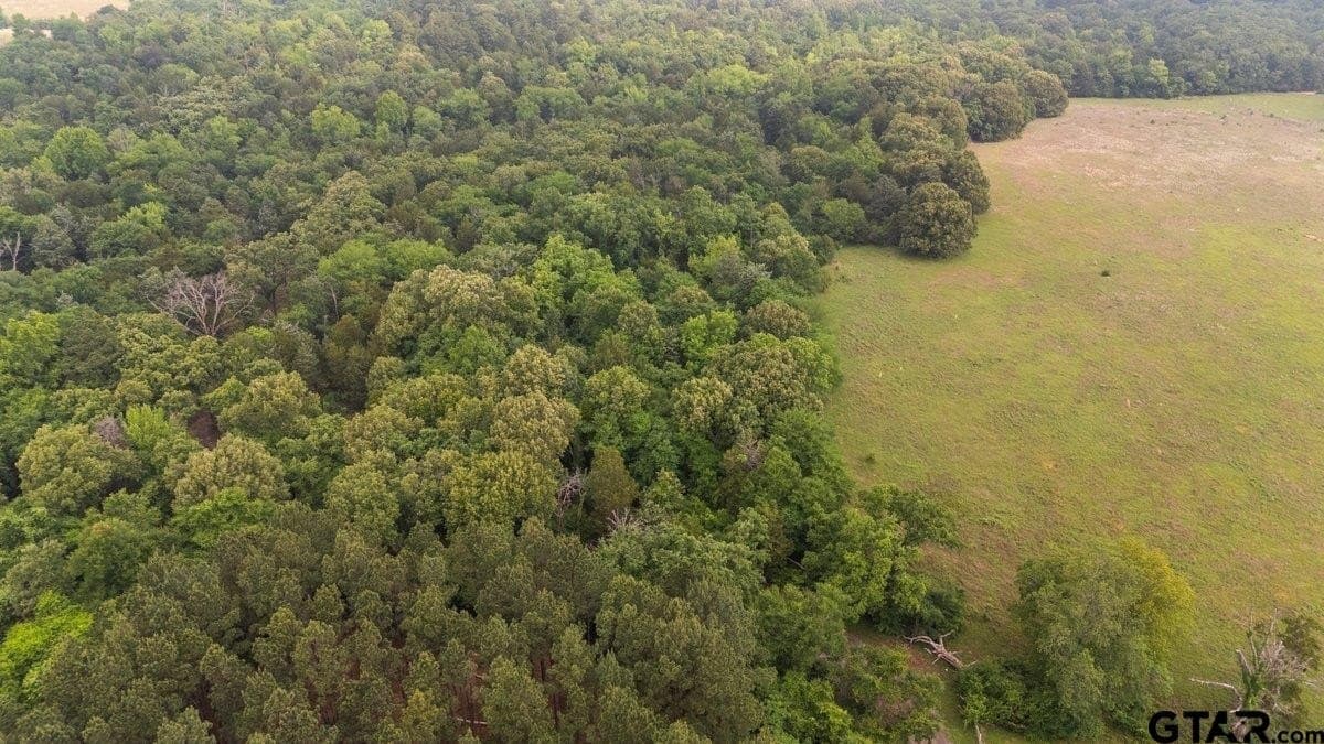 5.09 acres in Henderson County gallery image 4