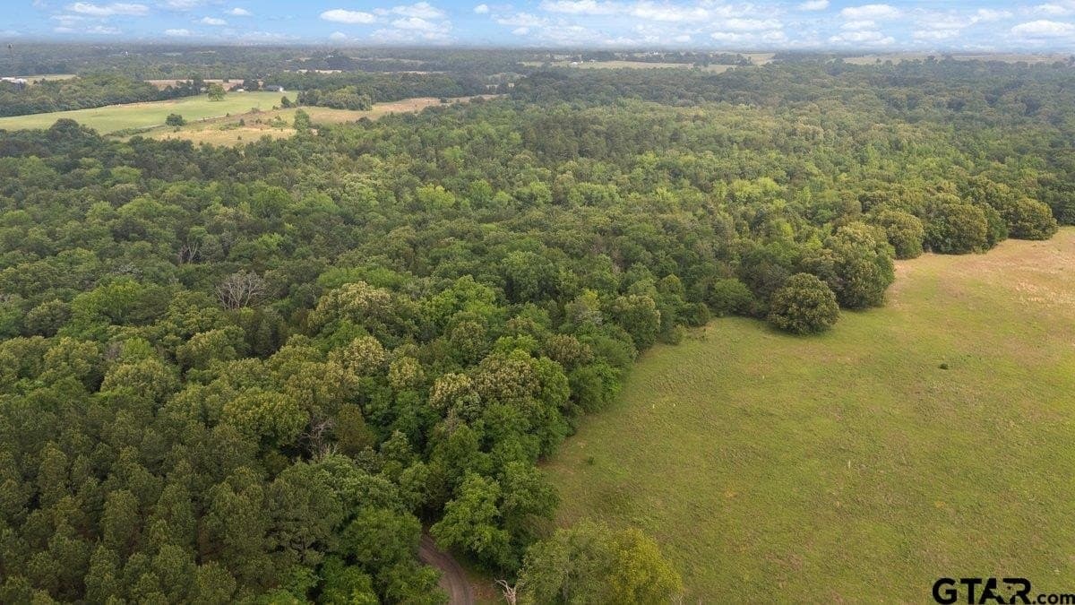 5.09 acres in Henderson County gallery image 3