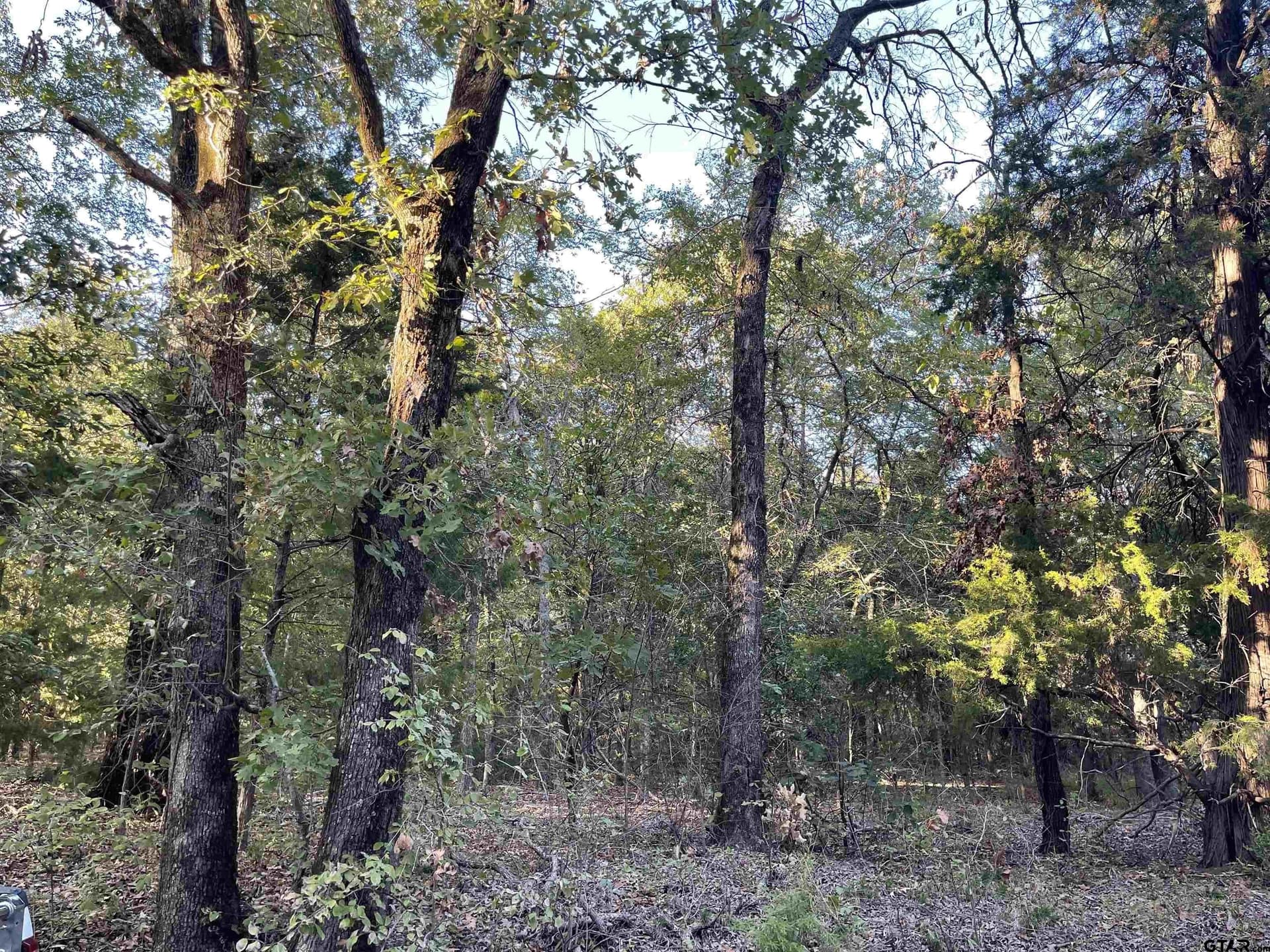 5.09 acres in Henderson County