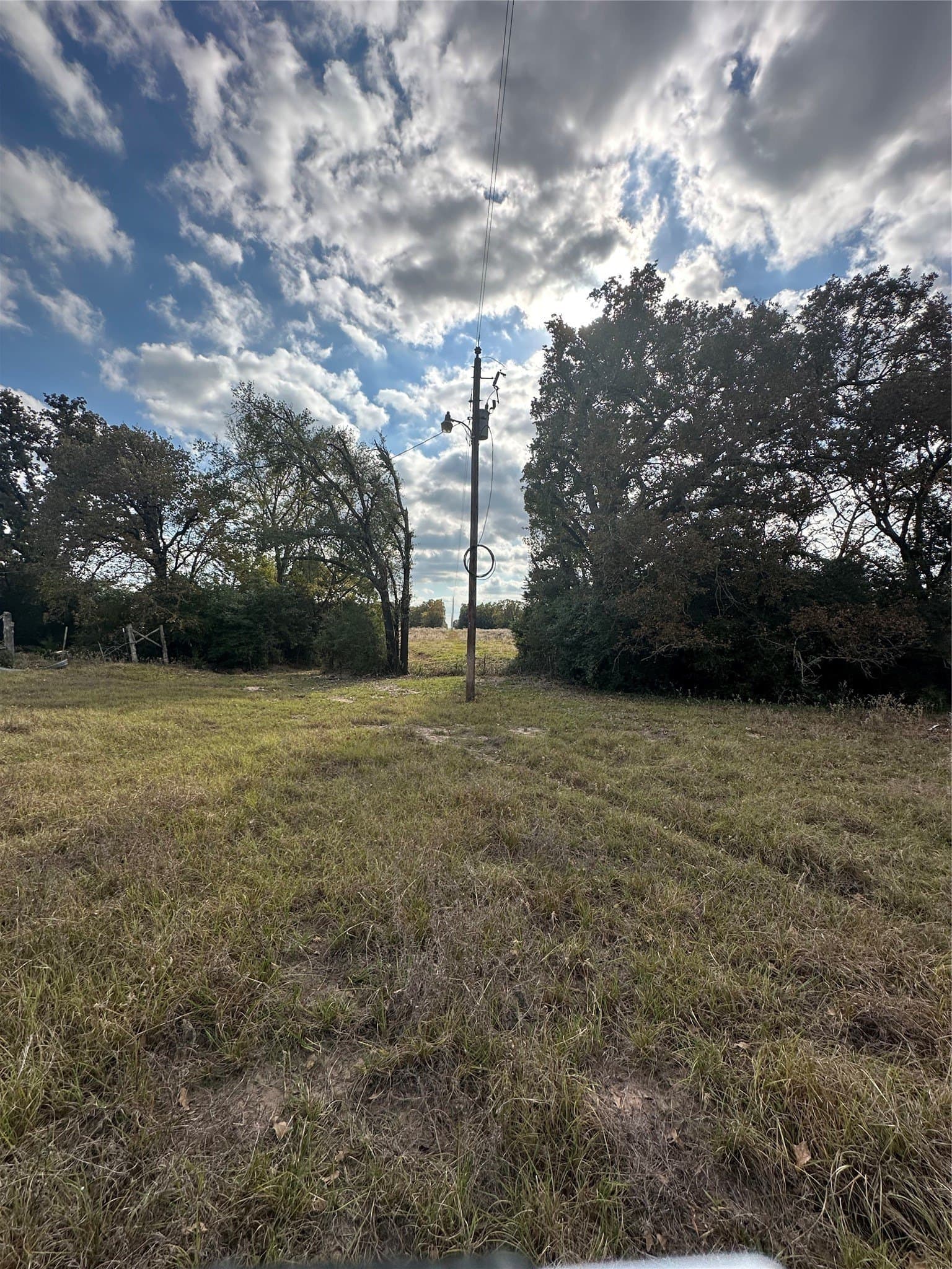 90 acres in Limestone County gallery image 4