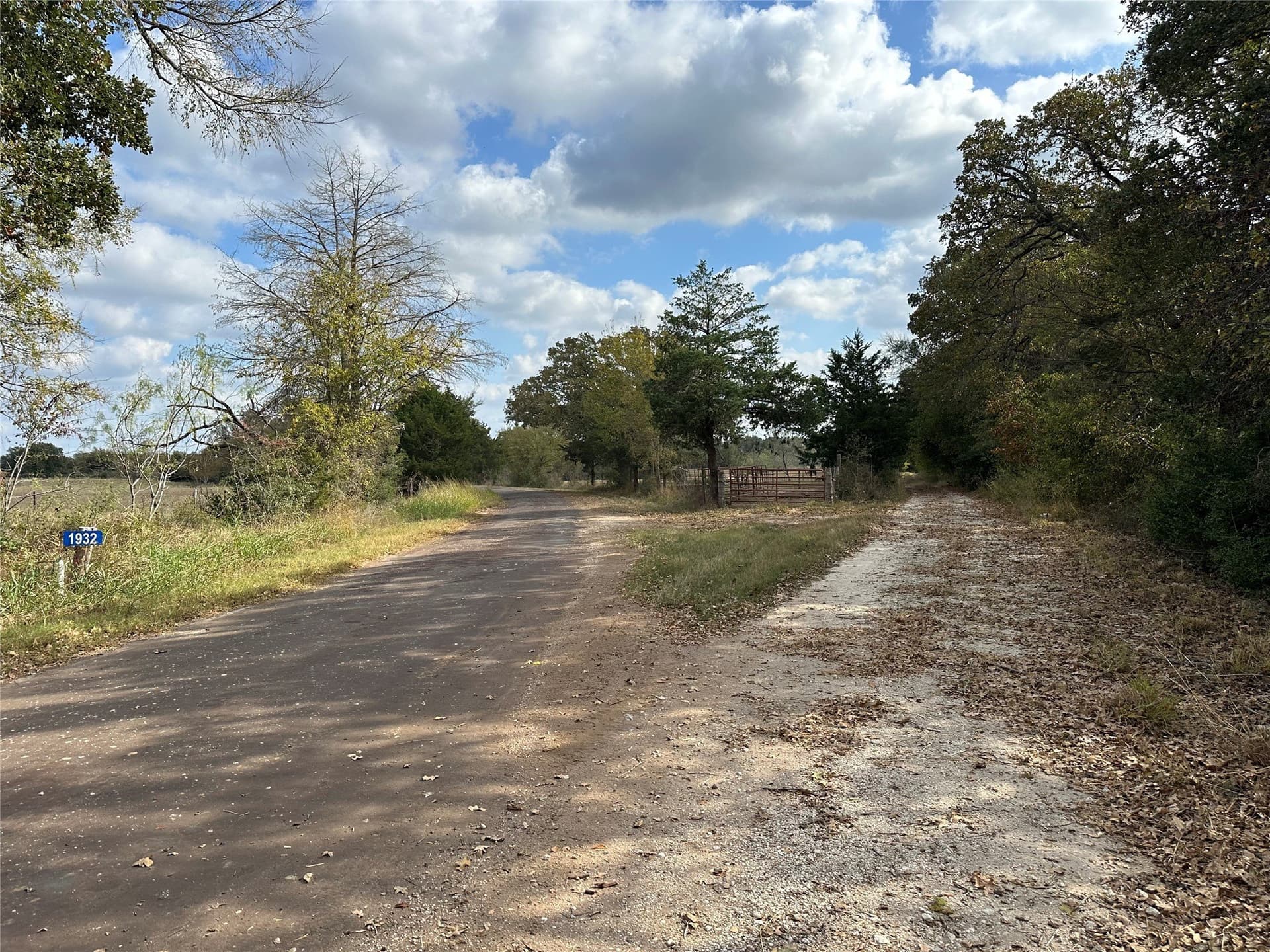 90 acres in Limestone County featured view