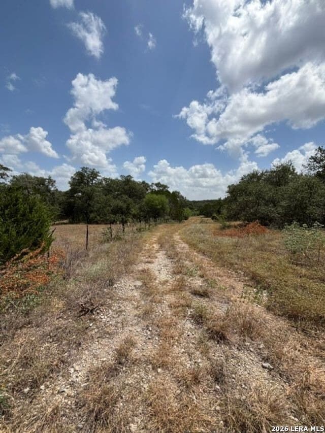 45.52 acres in Medina County - photo 20