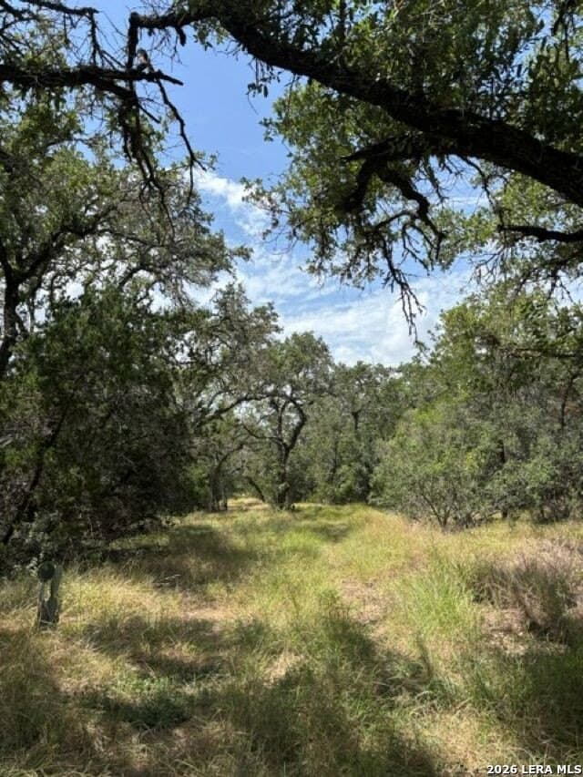 45.52 acres in Medina County - photo 6