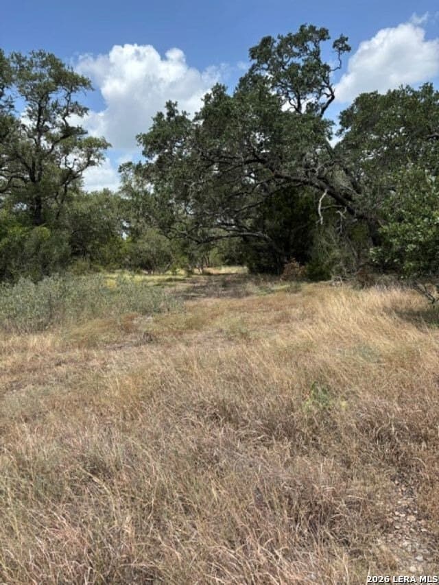 45.52 acres in Medina County - photo 21