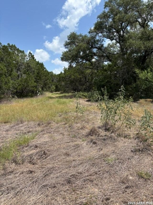 45.52 acres in Medina County - photo 17