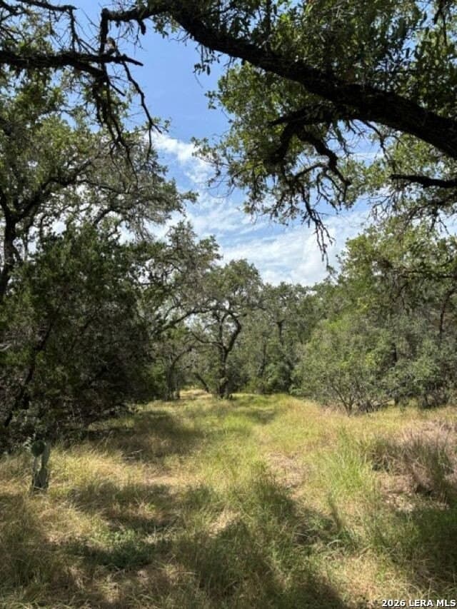 45.52 acres in Medina County - photo 5
