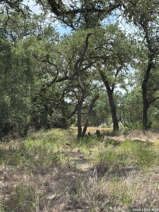 45.52 acres in Medina County - photo 13