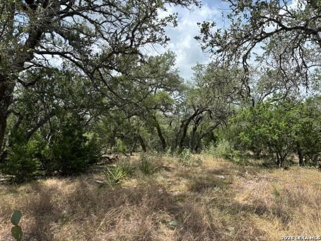 45.52 acres in Medina County - photo 32