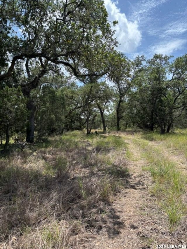 45.52 acres in Medina County - photo 12