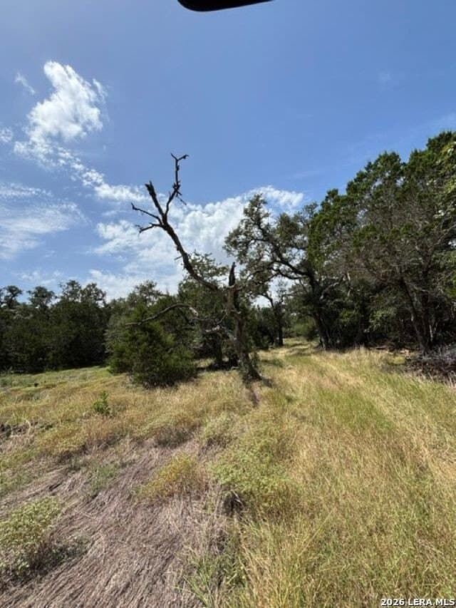 45.52 acres in Medina County - photo 10