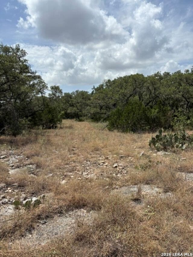 45.52 acres in Medina County - photo 28