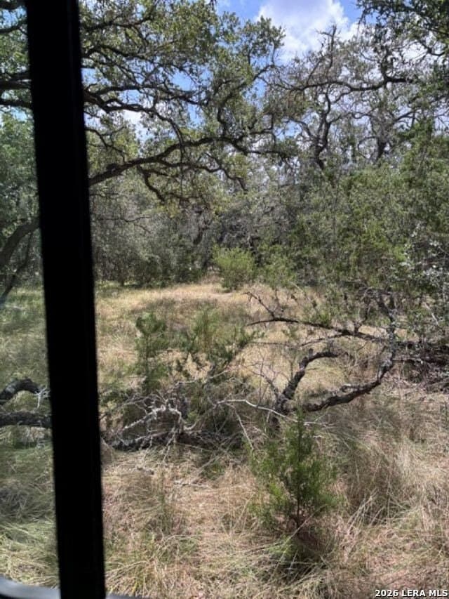 45.52 acres in Medina County - photo 7