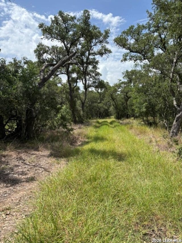 45.52 acres in Medina County - photo 3