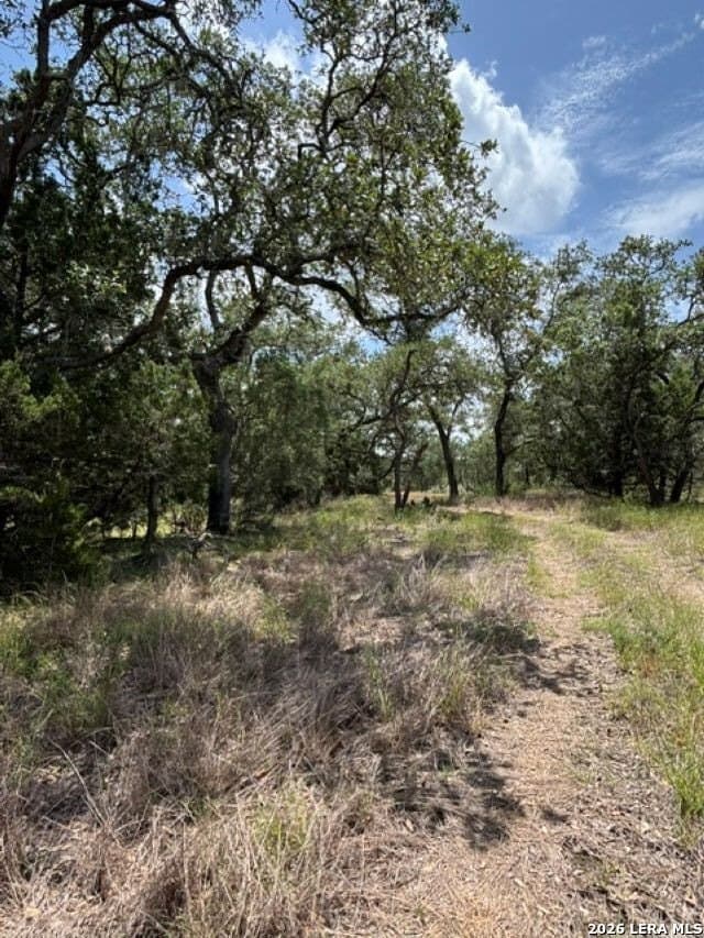 45.52 acres in Medina County - photo 14