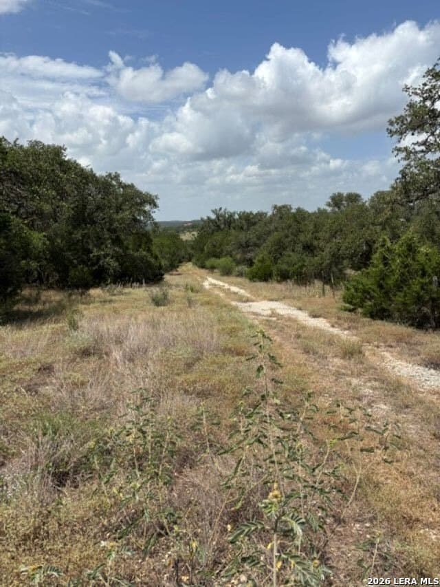 45.52 acres in Medina County - photo 15