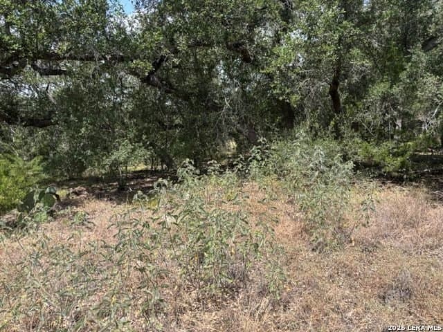 45.52 acres in Medina County - photo 34