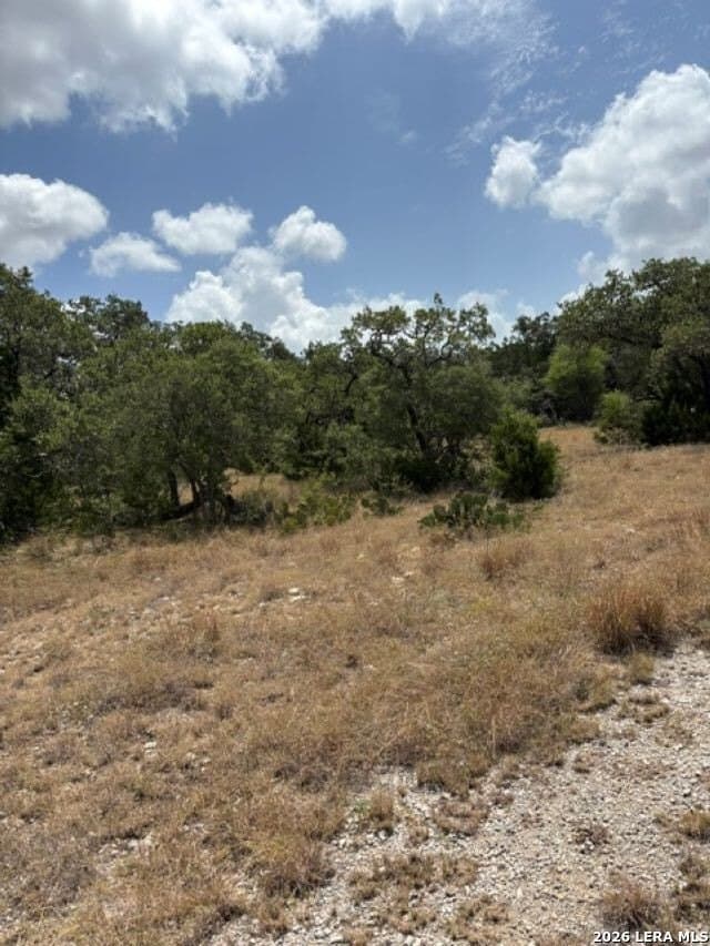45.52 acres in Medina County - photo 25