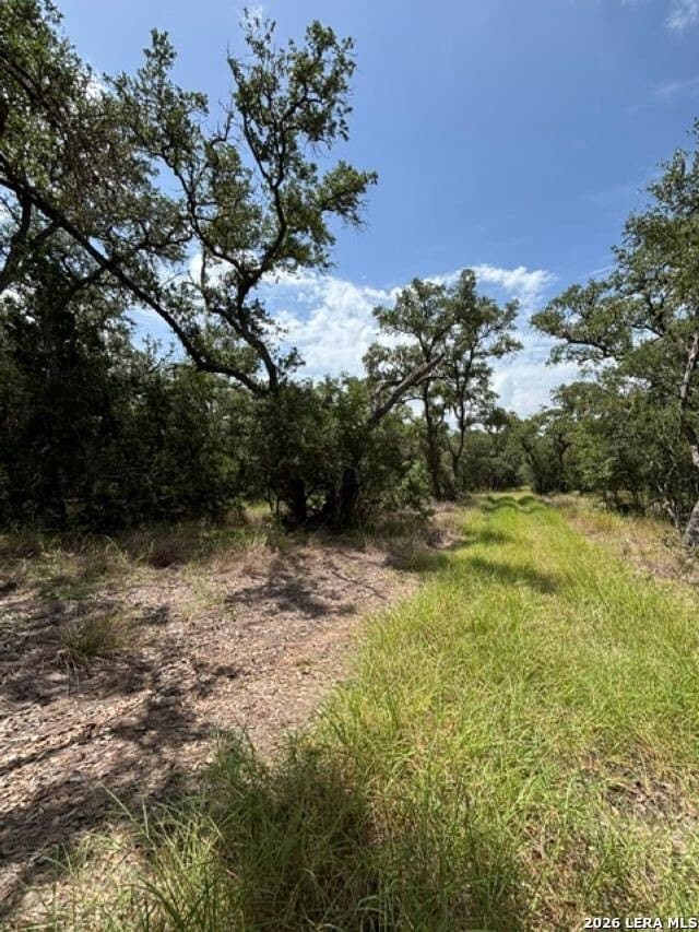 45.52 acres in Medina County - photo 4