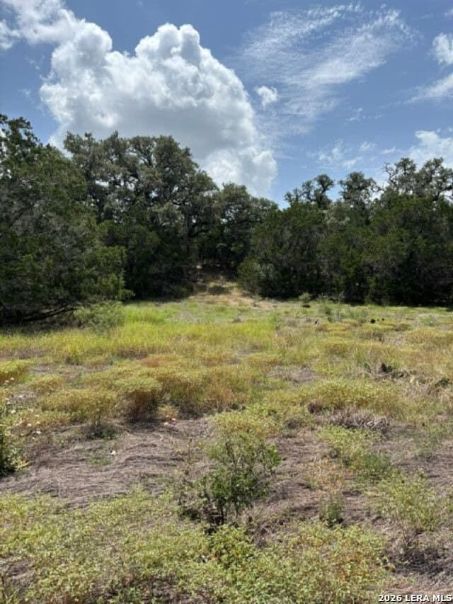 45.52 acres in Medina County - photo 8