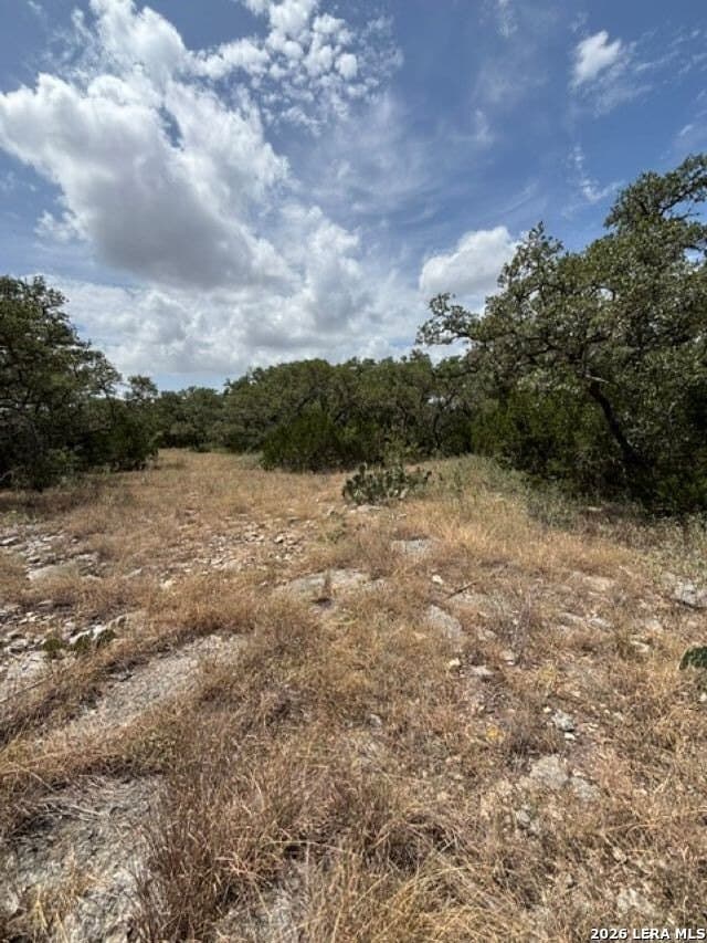 45.52 acres in Medina County - photo 29