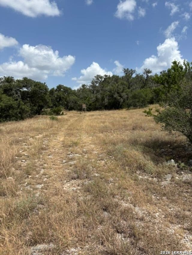 45.52 acres in Medina County - photo 24