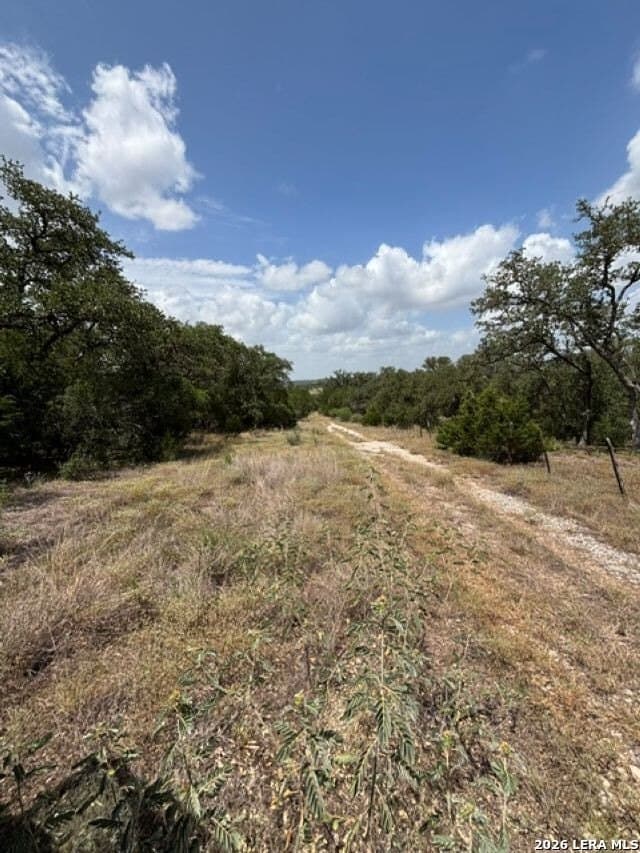 45.52 acres in Medina County - photo 16